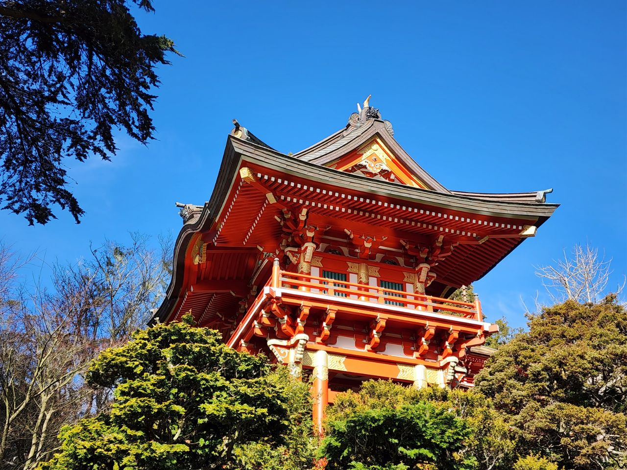 Japanese Tea Garden