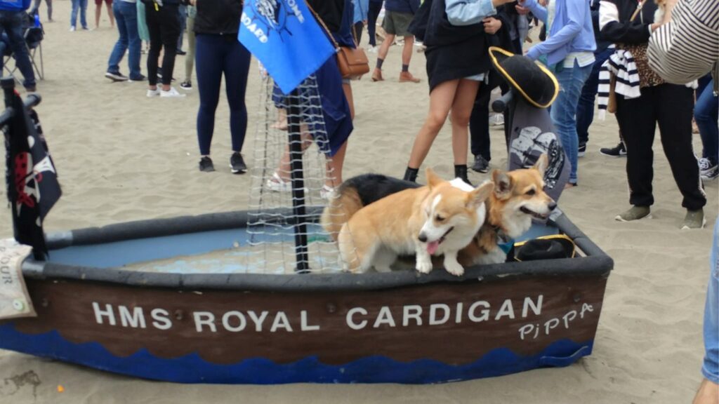 Corgi Con