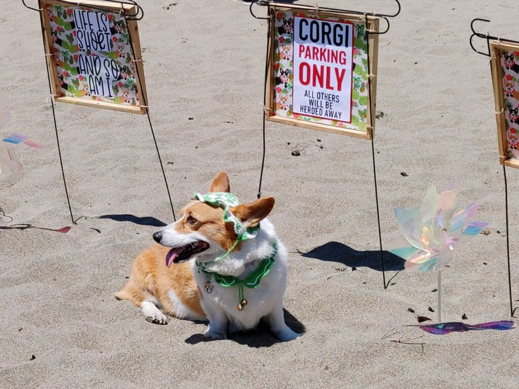 Corgi Con