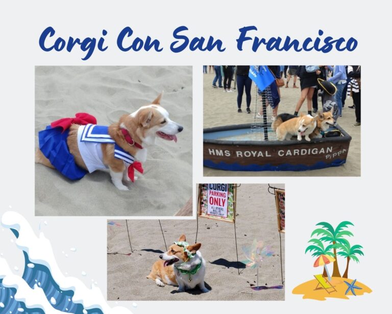 Corgi Con