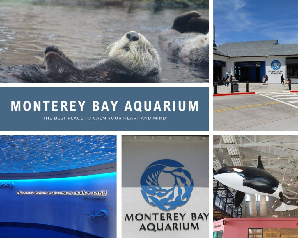 Monterey Bay Aquarium