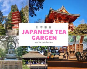 日本茶園 Japanese Tea Garden