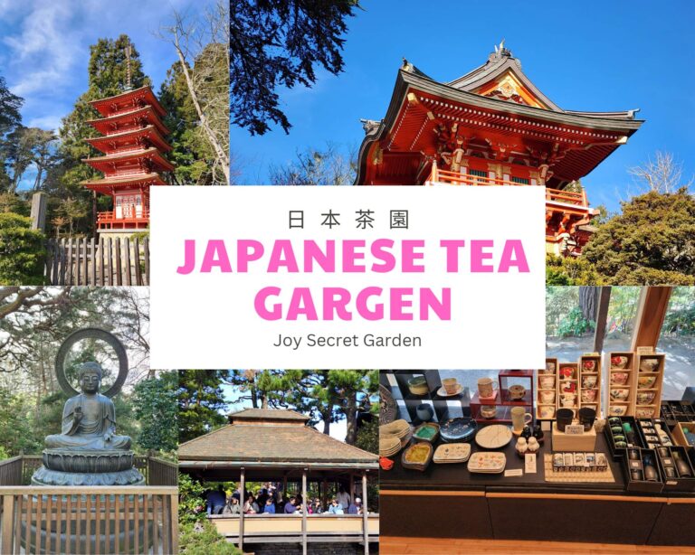 日本茶園 Japanese Tea Garden